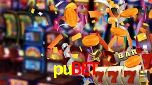 pubet,pubet.com