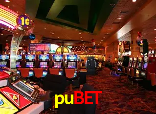 Descubra o Mundo do Cassino Online com pubet