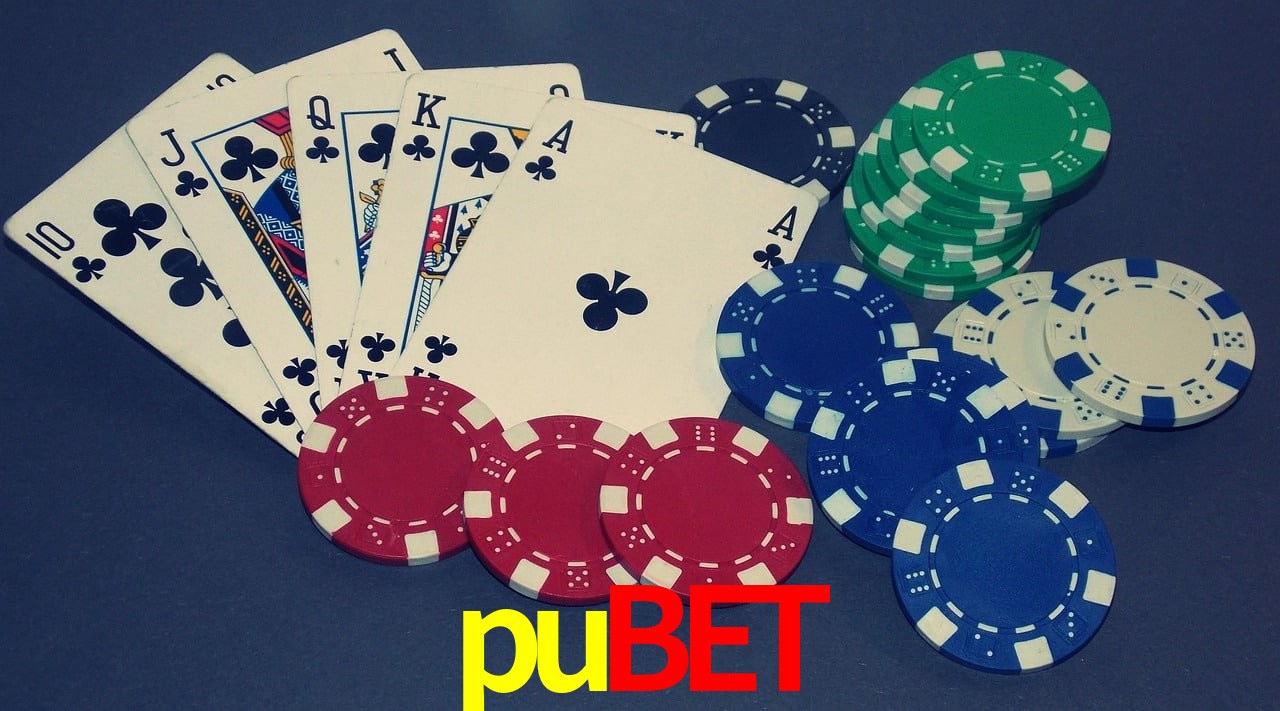Player Reviews pubet